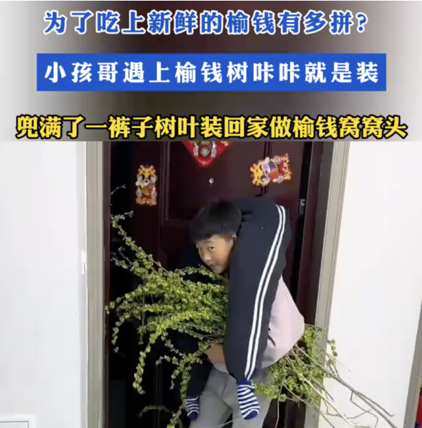 QQ_1743384754910.png
