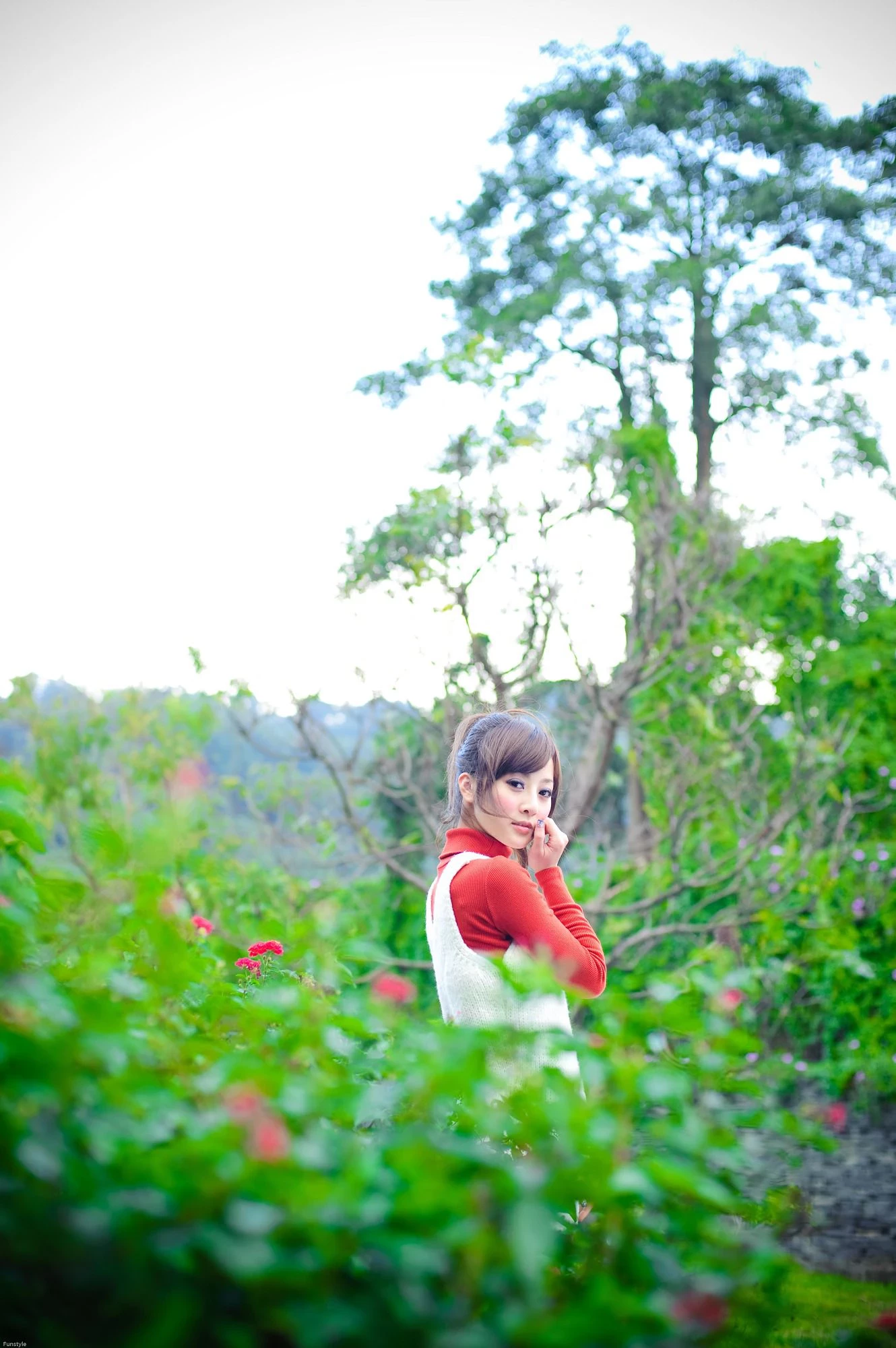 30716631.webp