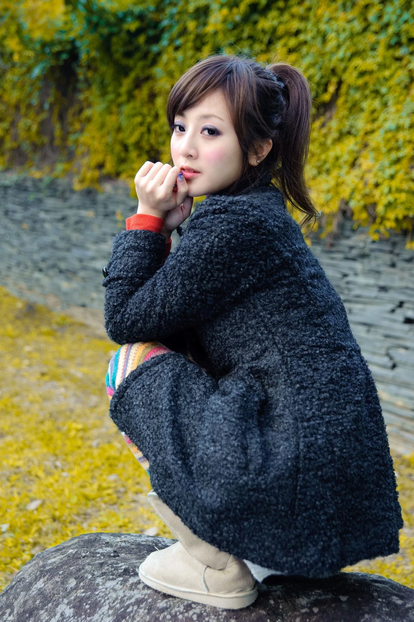 30716637.webp