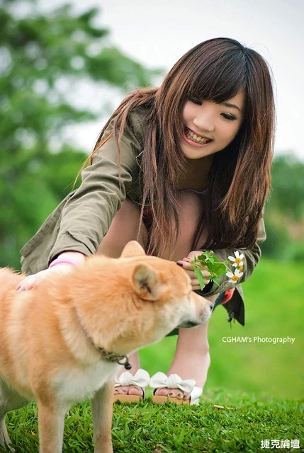 17530186.webp