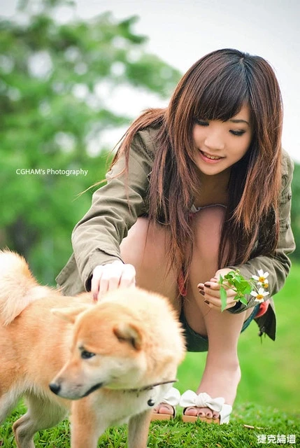 17530185.webp