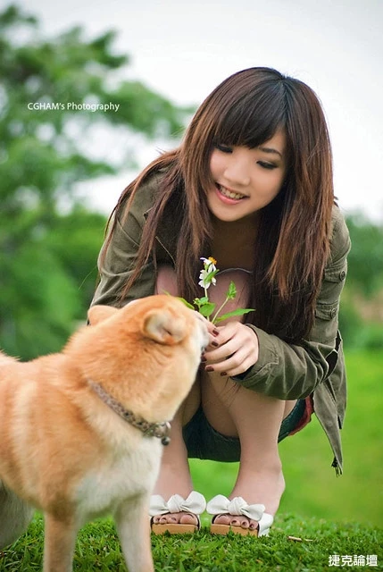 17530187.webp