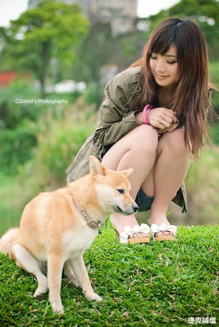 17530202.webp