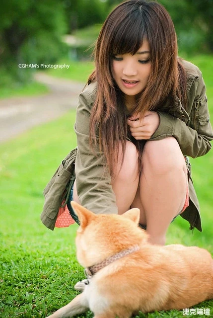 17530205.webp