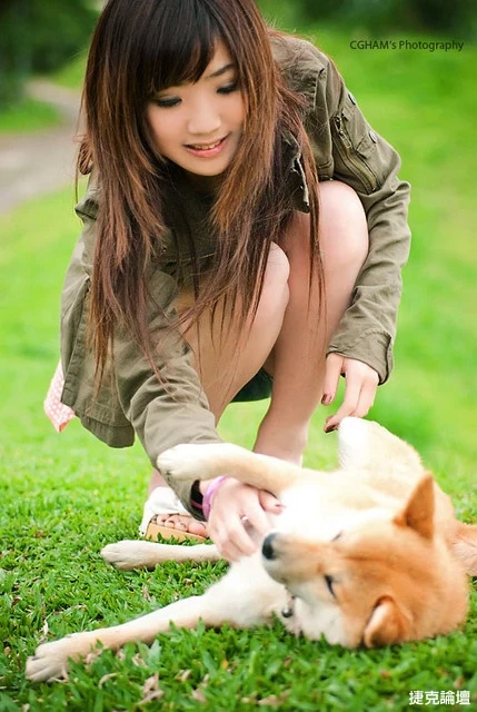 17530208.webp