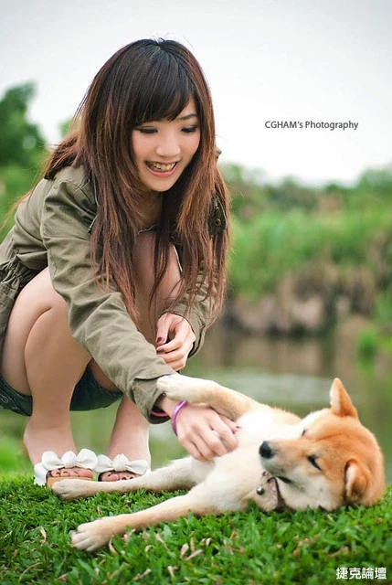 17530209.webp