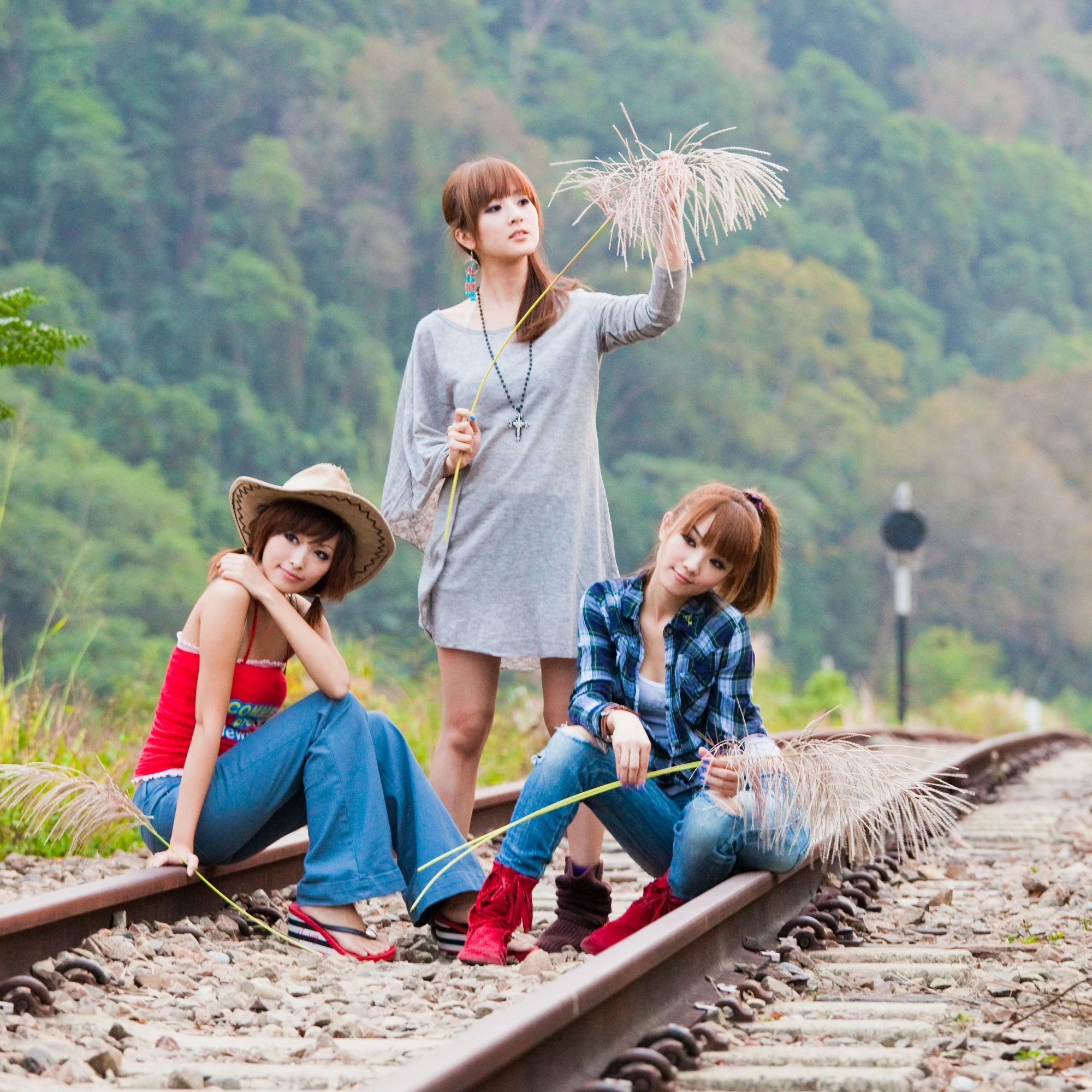 30716715.webp