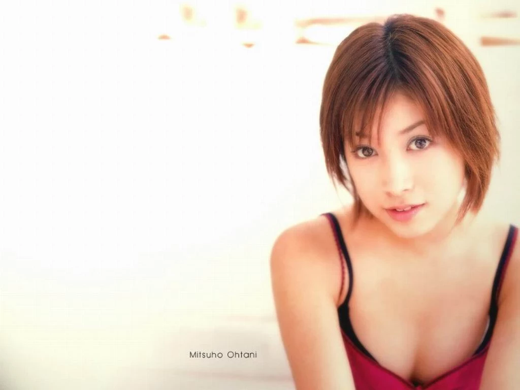 17603503.webp