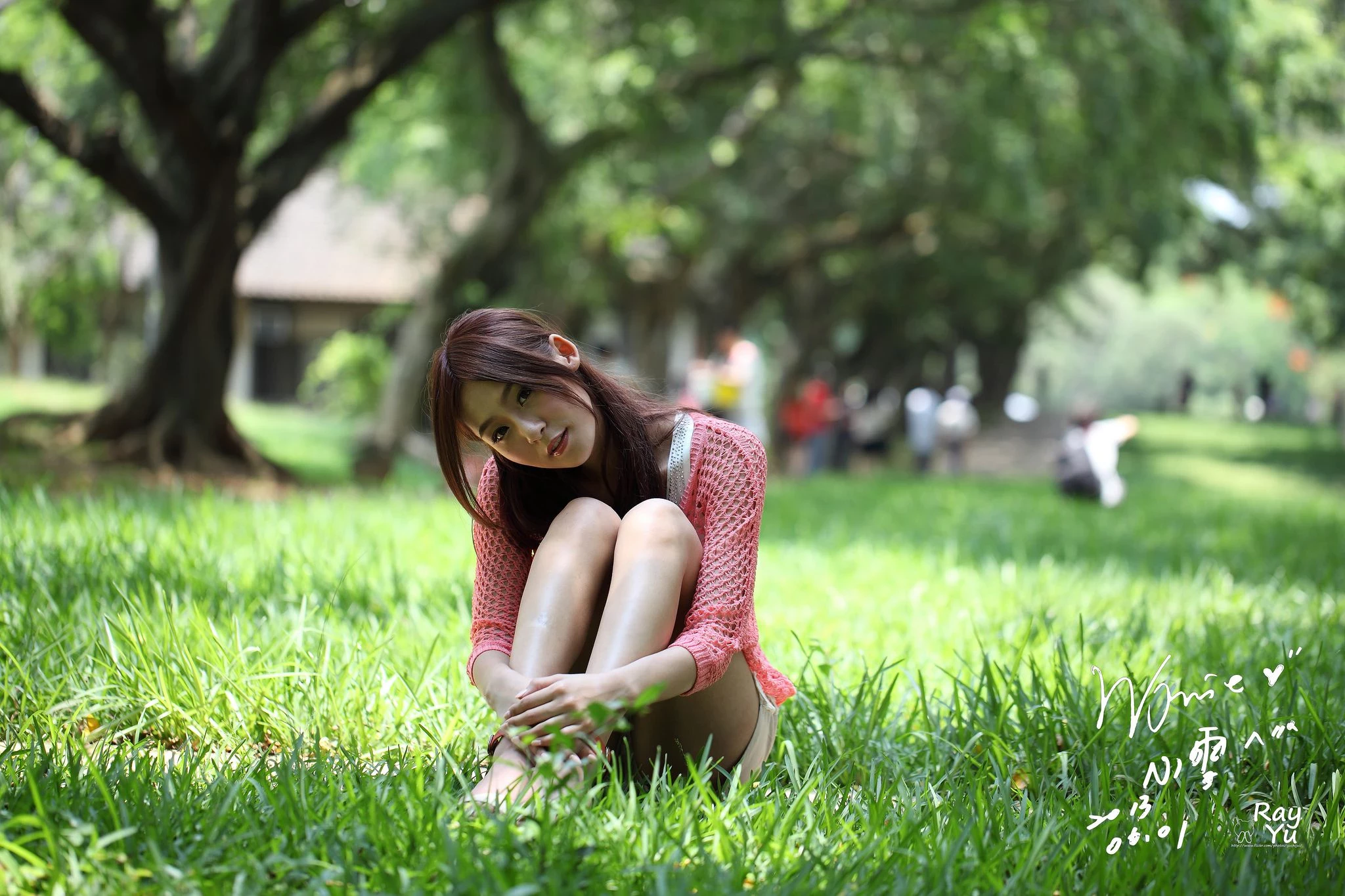 30728246.webp