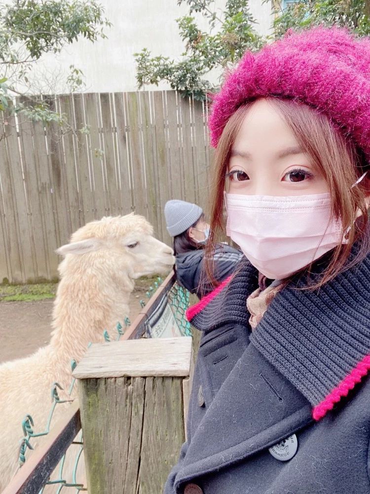 121145eafp3kzuc3a34jp8.webp