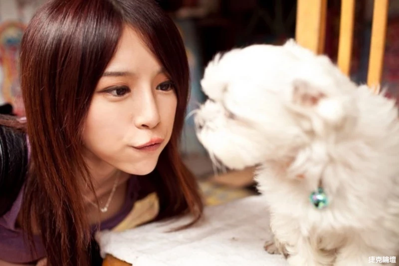 122641k81z2gh1hhrp8fhs.webp