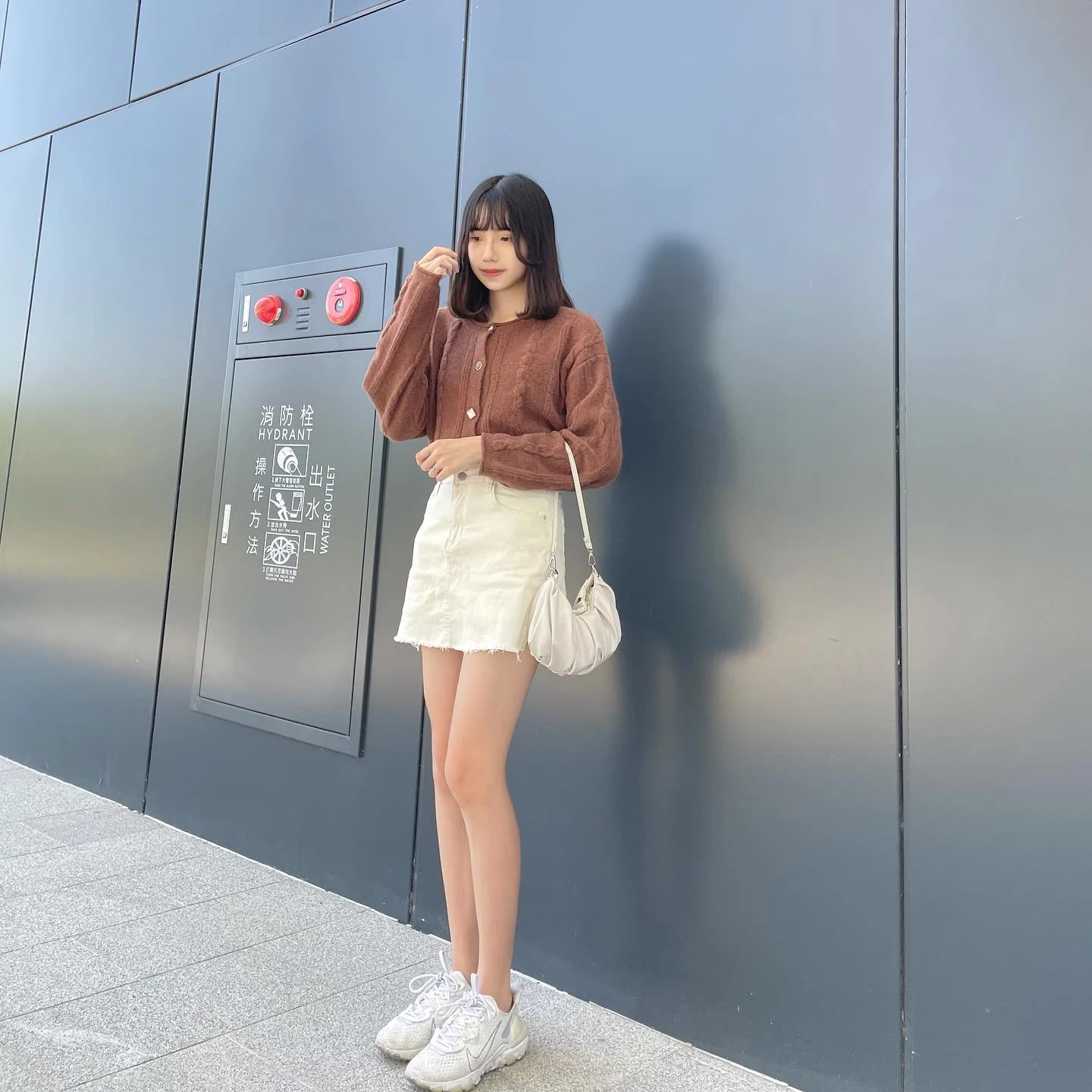 19773379.webp
