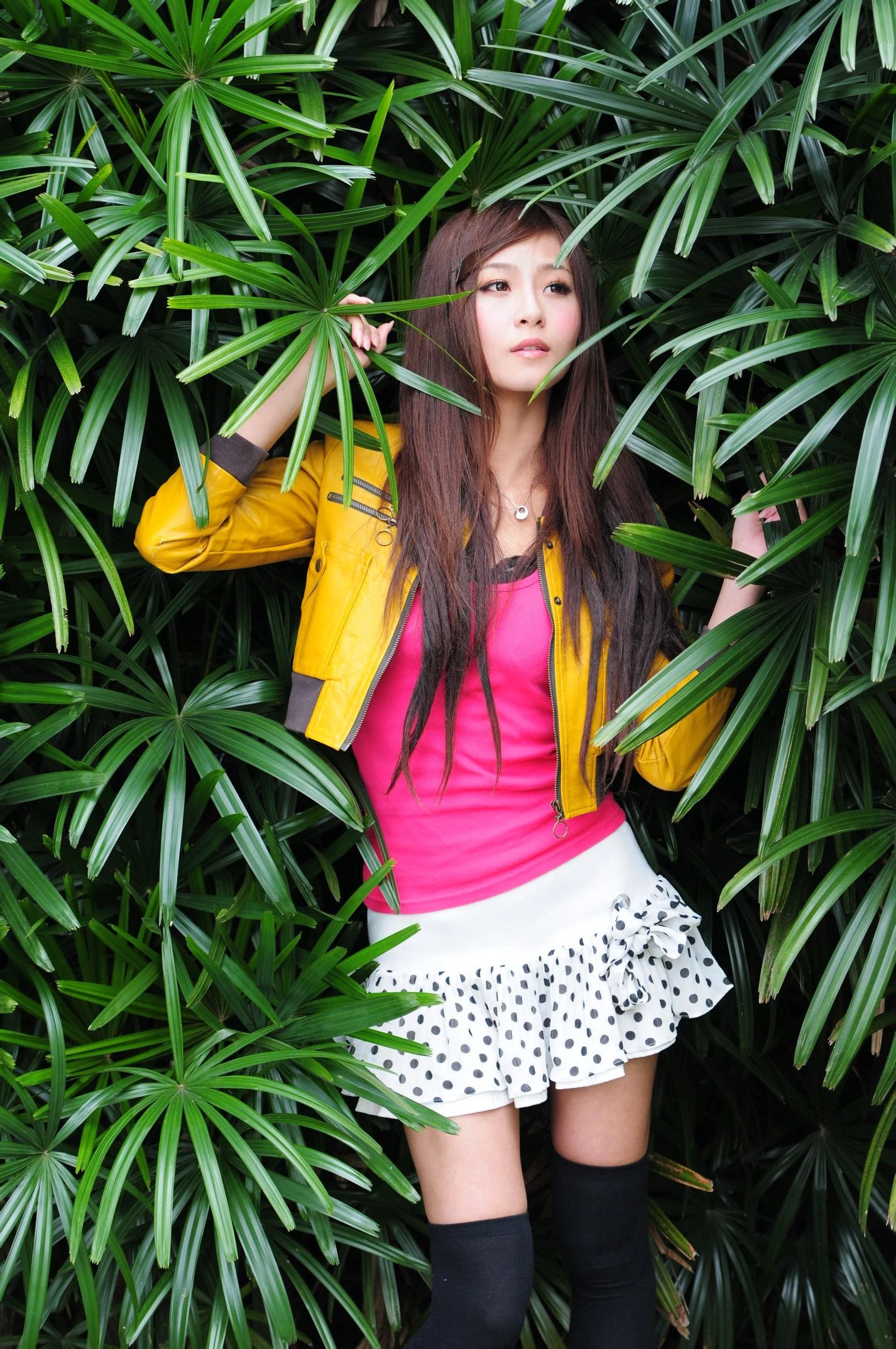 30769702.webp
