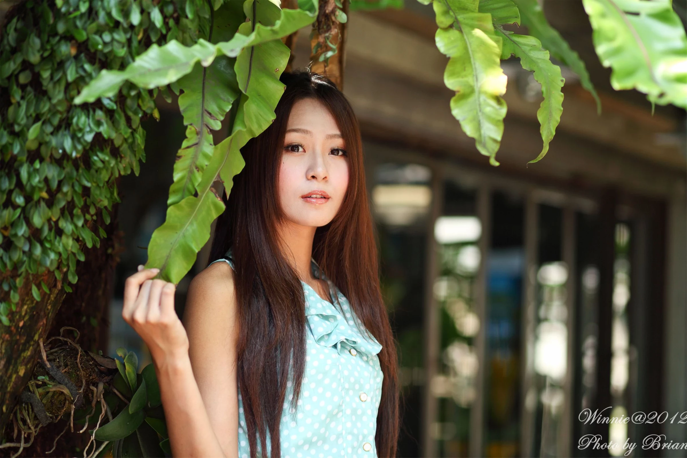 30750528.webp