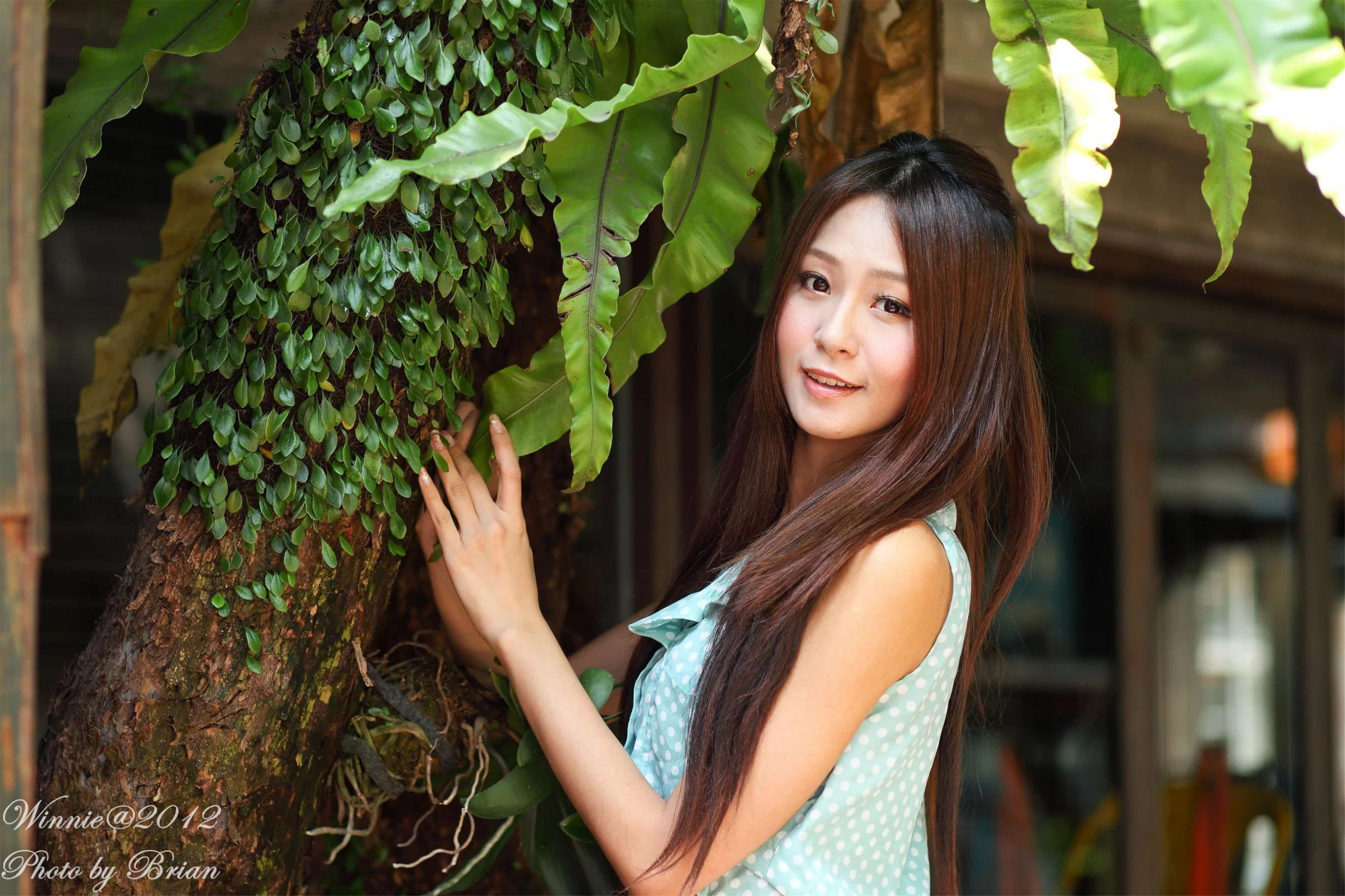 30750530.webp