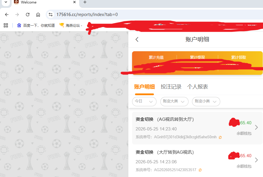 在资金图.png