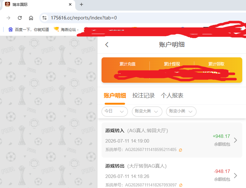 瑞丰国际.png