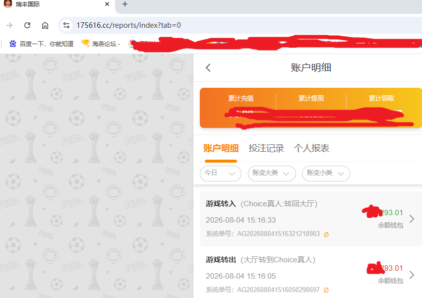 瑞丰国际.png